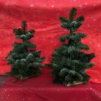 Christbaumbinden bei der Gärtnerei Brandel